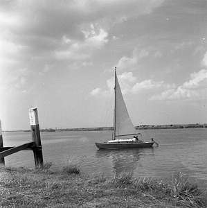 C1116 Zeilen op het Brielse Meer; 26 juli 1958