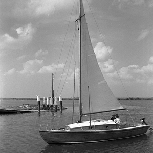 C1119 Zeilen op het Brielse Meer; 26 juli 1958