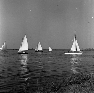 C1134 Zeilen op het Brielse Meer; 12 september 1958