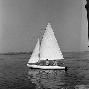 C1135 Zeilen op het Brielse Meer; 12 september 1958