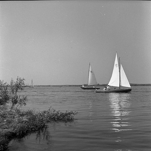 C1137 Zeilen op het Brielse Meer; 12 september 1958