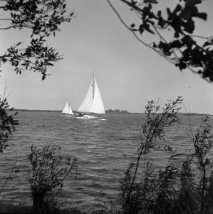 C1096 Zeilen op het Brielse Meer; 9 september 1959