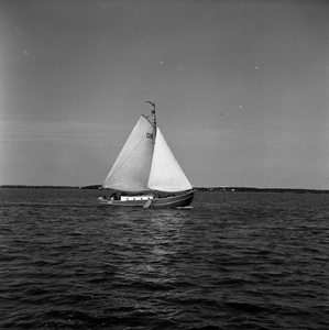 C1097 Zeilen op het Brielse Meer; 9 september 1959