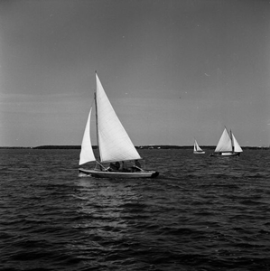 C1098 Zeilen op het Brielse Meer; 9 september 1959