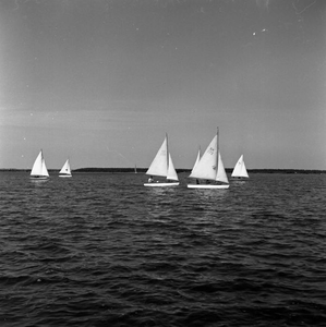 C1099 Zeilen op het Brielse Meer; 9 september 1959