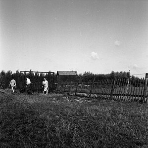 C1362 Hertenkamp Kruininger Gors; 4 oktober 1958