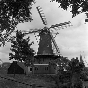 C1557 De molen van Geervliet; 14 juni 1961