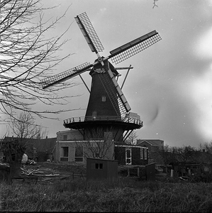 C1559 De molen van Geervliet; 14 juni 1961