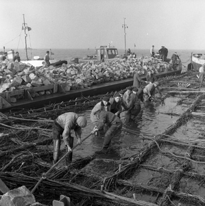 C1609 Aanleg matten voor de Haringvlietdam; 20 oktober 1956