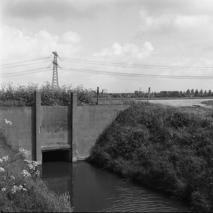 C1948 De heul in de Oudelandsedijk; mei 1997