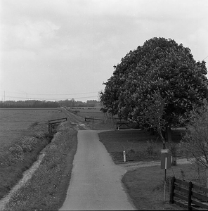 C1954 De Moerseweg; mei 1997