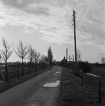 C2005 De Hoofddijk, gezien in de richting van de Rattendijk / Wouddijk; 1989