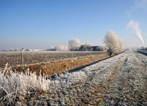 F1097 Gezicht op de locatie van de toekomstige sportvelden. Rechts de oude Trambaan.; 9 januari 2009