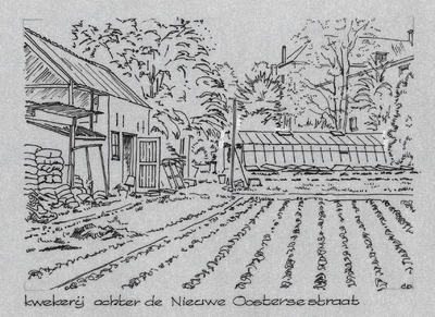 1030-84 De kwekerij achter de Nieuwe Oostersestraat te Middelburg