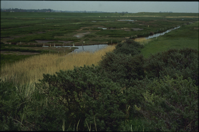 1 De Westenschouwense inlaag bij Burgh-Haamstede