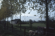 677 Windmolen bij een boerderij in Zuid-Beveland (vermoedelijk in de omgeving van Borssele)
