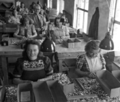 1001-38-1 Vitrite te Middelburg: Na 1950 worden overwegend vrouwen aangetrokken voor het sorteren van lampvoeten