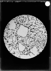 15-2 Microfoto van de structuur van gegoten ijzer (IJzergieterij Middelburg)