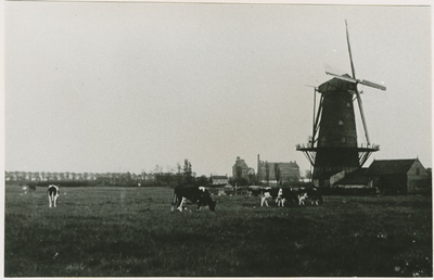 A-1160 Omgeving Veerseweg met molen De Koning te Middelburg. Op de achtergrond de meelfabriek van Kakebeeke