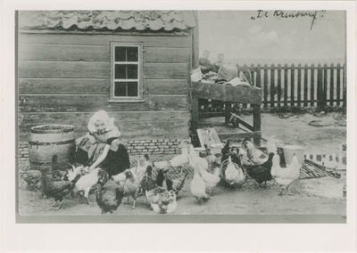 A-1439 Kind in dracht met kippen op boerderij De Kruisweg van de familie Kodde te Nieuw- en Sint Joosland