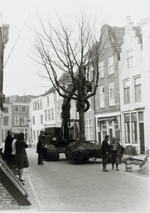 A-1876I Het verplaatsen van deze boom van de Kalvermarkt naar de Stadsschuur
