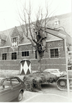 A-1876II Verplaatsing van een boom van de Hoogstraat te Middelburg naar de Stadsschuur