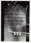 ALBUM-59-16 Grafsteen van Chaja, echtgenote van Israël van Zon, overleden 13 Nisan 5609 (05-04-1849)
