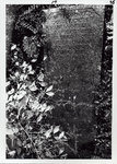 ALBUM-60-24 Grafsteen van Judique Habilla, echtgenote van Baruch Habillo, overleden 4 Elul 5416 (24-08-1656)