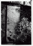 ALBUM-60-32 Grafsteen van Sara Montezinos, echtgenote van(?) S el . Avo de Abr. Levi Bondia, overleden 18 Ylul 5425 ...