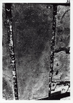 ALBUM-60-40 Grafsteen van Samuel Lourenco, overleden 2 Cheshvan 5441 (25-10-1680)