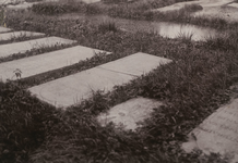 B-1068XVI Zerken op de Portugees-Joodse begraafplaats aan de Jodengang te Middelburg