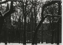 B-1919 Gezicht op het Abdijplein te Middelburg in de winter