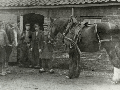 B-945IX Paarden met personeel van Gemeentereiniging te Middelburg voor de stallen.Origineel diapositief archief ...