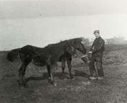 B-945VIII Het voeren van paarden door een medewerker van Gemeentereiniging op een weiland in de omgeving van ...