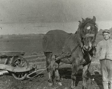 B-945XVI Paard met ploeg en personeelslid van Gemeentereiniging op de stortplaats op een weiland in de omgeving van ...