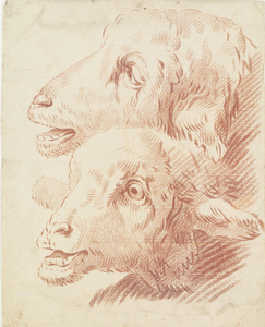 H-64 Studie van twee schapenkoppen