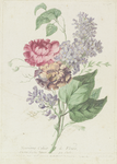 H-91 Neuvième Cahier de Fleurs. Een boeketje bloemen (voorbeeldtekening)