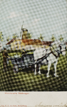 P-1338 Walchersche Melkwagen. Een Walchersche melkwagen in een weiland op Walcheren.
