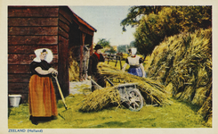 P-1401 Zeeland (Holland).. Twee vrouwen en een man in Zuid-Bevelandse dracht met kruiwagen beladen met stro bij een schuur.