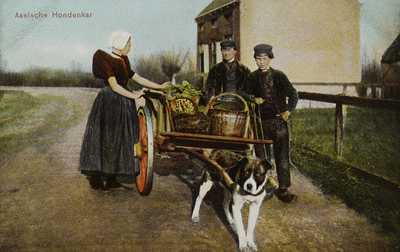 P-1419 Axelsche Hondenkar.. Twee mannen en een vrouw in Axelse dracht met hondenkar.