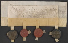 CHV-1096 Brief van Anna van Borssele en Adolf van Bourgondië, haar enige erfzoon. Bevestiging van het besluit d.d. ...
