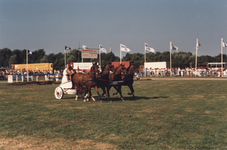 2233 Een Romeinse wagen met vier paarden tijdens het concours hippique te Domburg