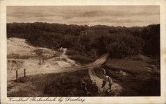 2896 Zandkuil Berkenbosch, bij Domburg. Gezicht op de zandkuil Berkenbosch bij Domburg