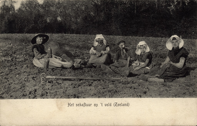 2905 Het schaftuur op 't veld (Zeeland). Personen in dracht tijdens het schaftuur op het veld
