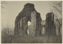 131b De ruïne van de kerk van Hoogelande te Grijpskerke, vanuit het zuidoosten