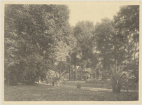 2169-5 De Elderschans 1908. Gezicht in het park, genomen naar de achtergevel van het huis de Elderschans te Aardenburg