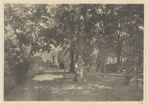 2169-6 De Elderschans 1908. Gezicht op een deel van het park van het huis de Elderschans te Aardenburg met tropische planten