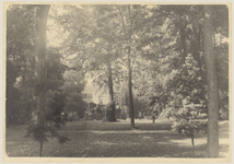 2169-7 De Elderschans 1908. Gezicht op een deel van het park van het huis de Elderschans te Aardenburg met tropische planten