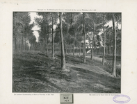 2259 De Landbouw-Tentoonstelling te Hulst op Woensdag 10 juni 1896. Het terrein op het Glacis buiten de Begijnenpoort. ...