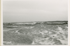 3006-44 Duinen bij strandpaal 26 op Schouwen-Duiveland, gezien in zuidelijke richting